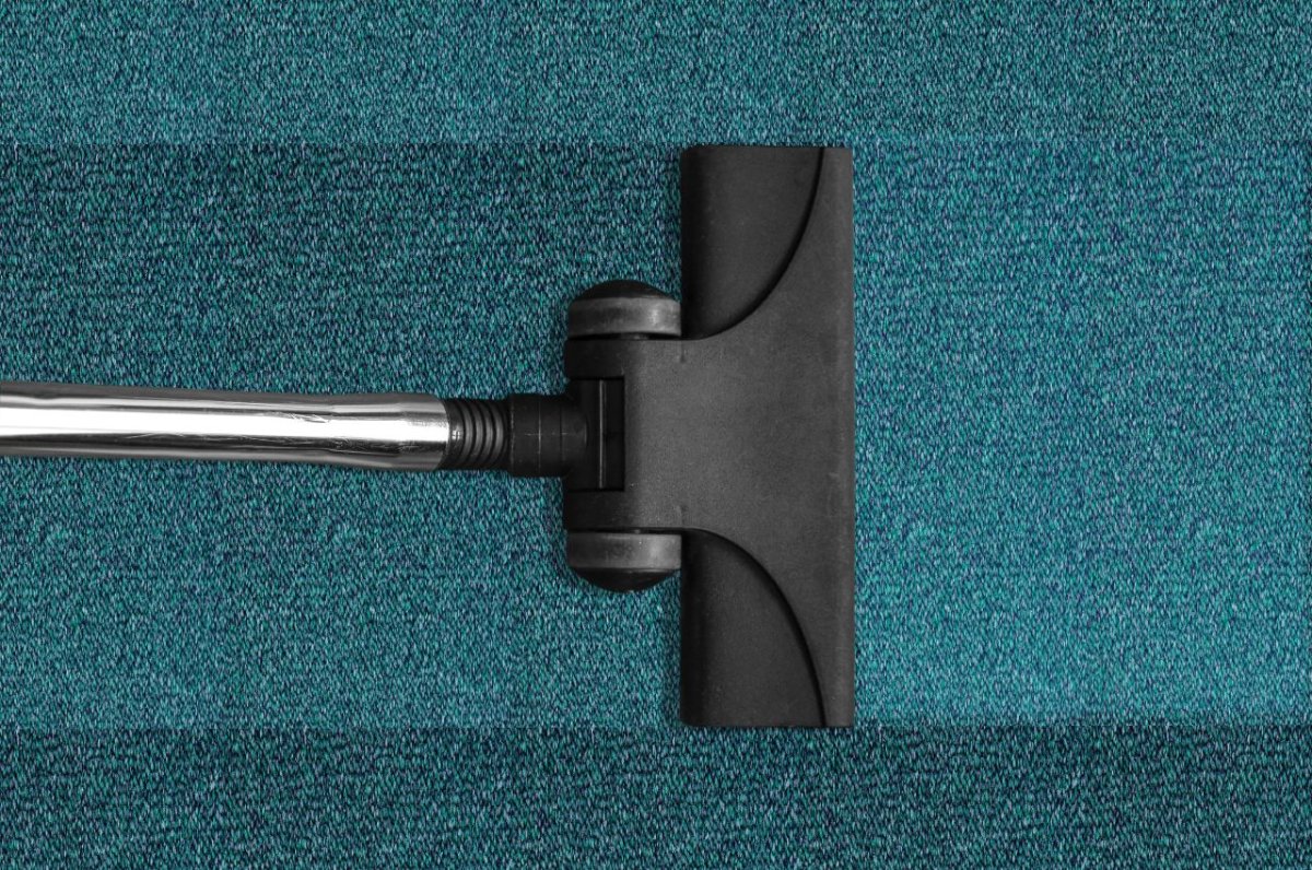  How to Clean Carpet Like a Pro with Expert Tips for Fresh Results 